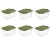 40 Qt. EZ Carry Plastic, Clear/Sage Legume, Set of 6