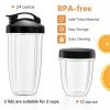 1000W Portable Blender with 6-Blade Design